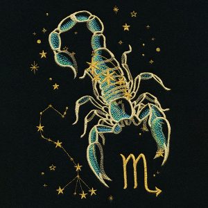 Scorpio (24 October to 22 November)